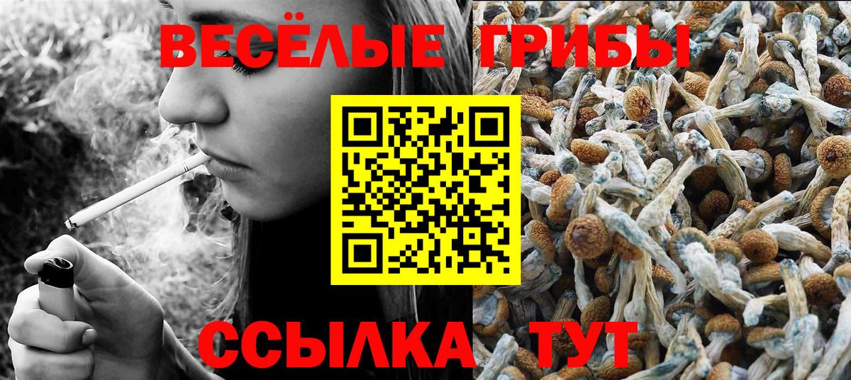 Тула  Галлюциногенные грибы мухоморы  Вход с VPN  купить  цена  Псилоцибиновые грибы ЛСД 