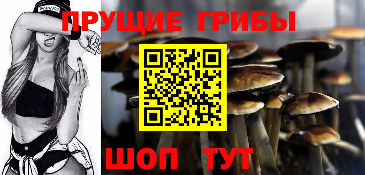 Галлюциногенные грибы прущие грибы Тула